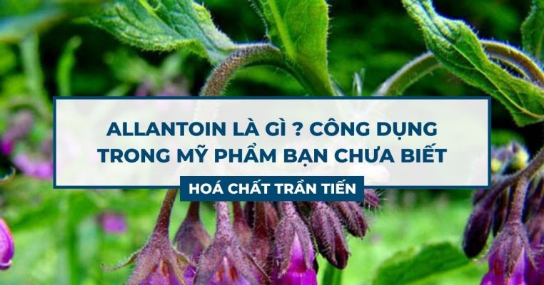 Allantoin Là Gì