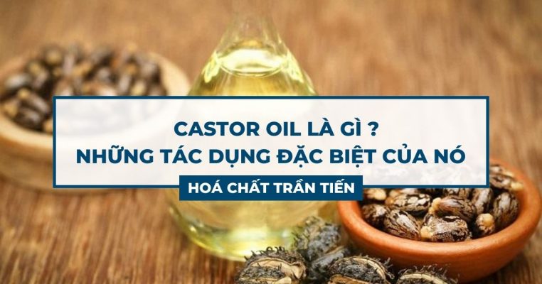 Castor Oil Là Gì