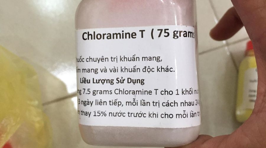 Chloramine T Thuốc Thử