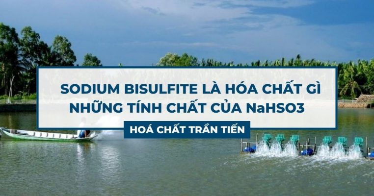 Sodium Bisulfite Là Gì