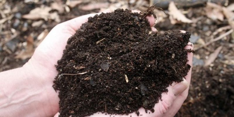 Humic + Fulvic 80% Đóng Vai Trò Quan Trọng Trong Đất