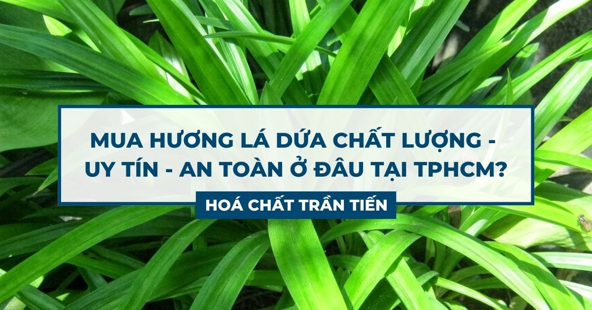 Hương Lá Dứa Mua Ở Đâu Uy Tín Tại TPHCM?