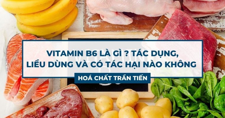 Vitamin B6 Là Gì