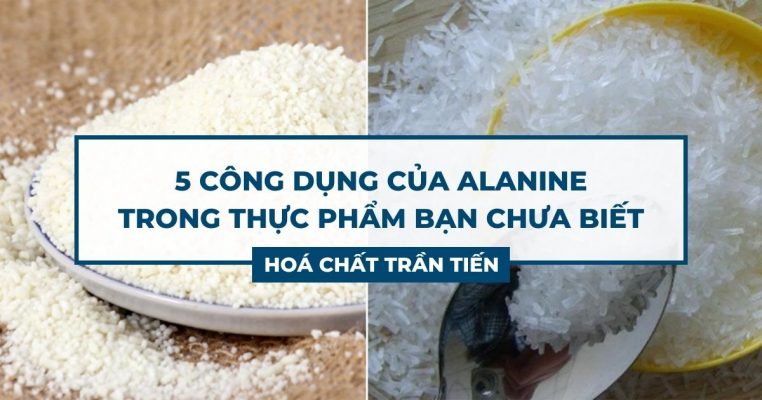 Alanine Trong Thực Phẩm