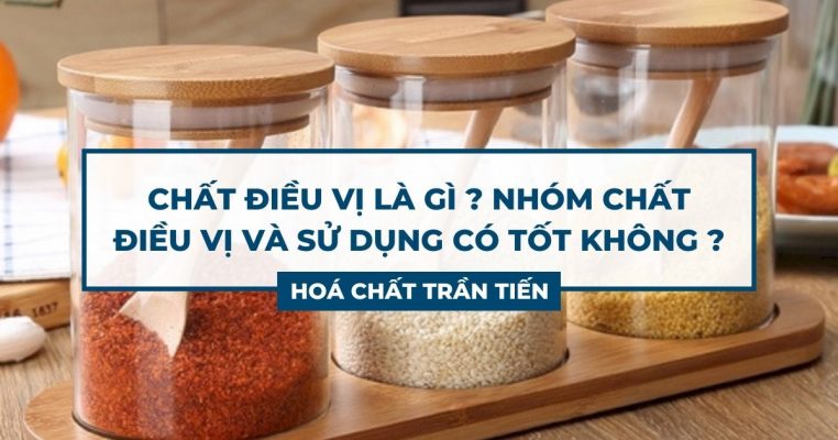 Chất Điều Vị Là Gì