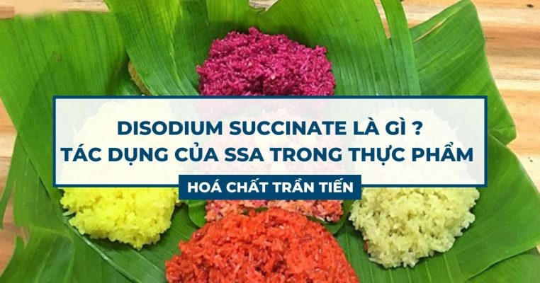 Sodium Succinate Là Gì