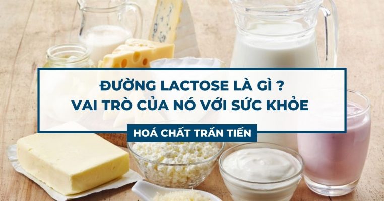 đường lactose là gì