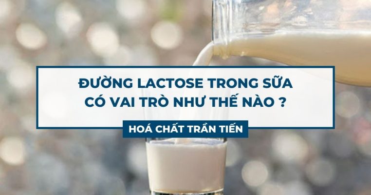 Đường Lactose Trong Sữa