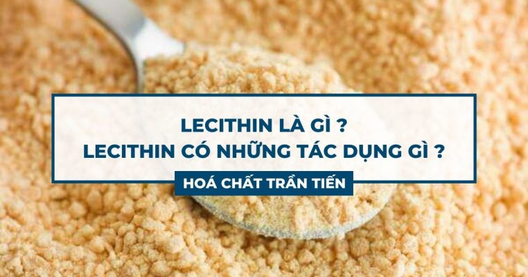 Chất Lecithin Là Gì