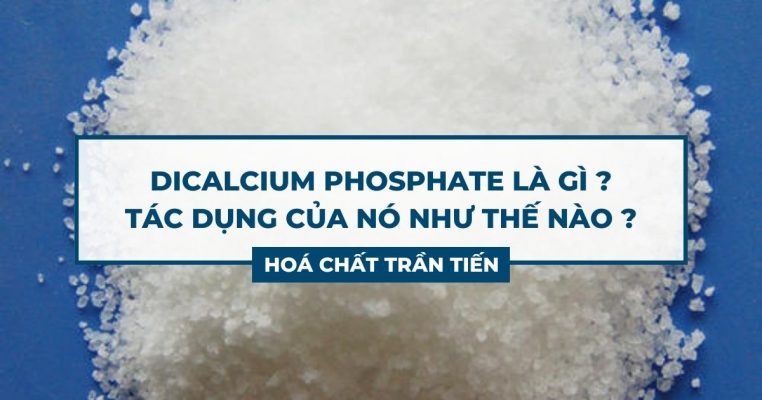 Dicalcium Phosphate Là Gì