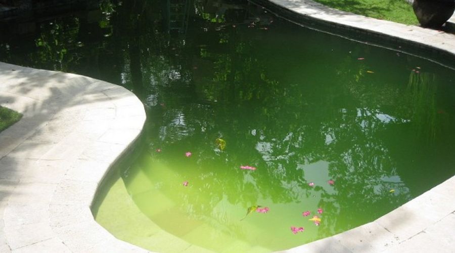 Đồng Sunfat Là Gì