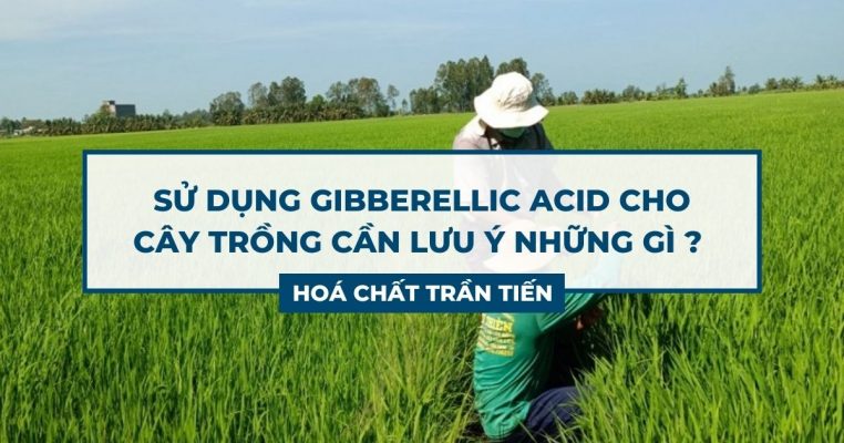 Gibberellic Acid