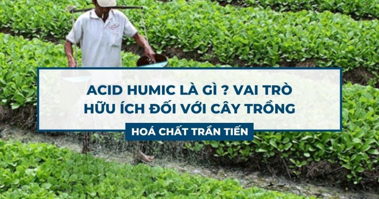 Acid Humic