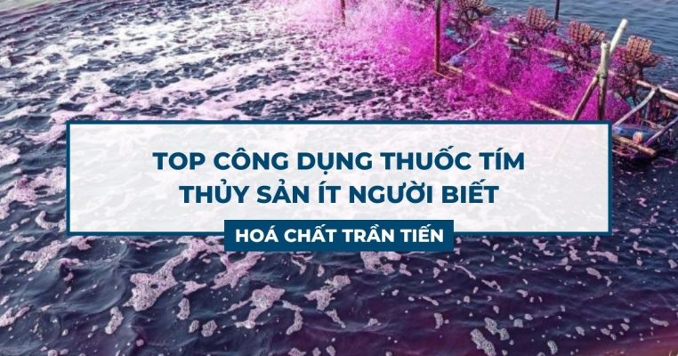 Thuốc Tím Thủy Sản