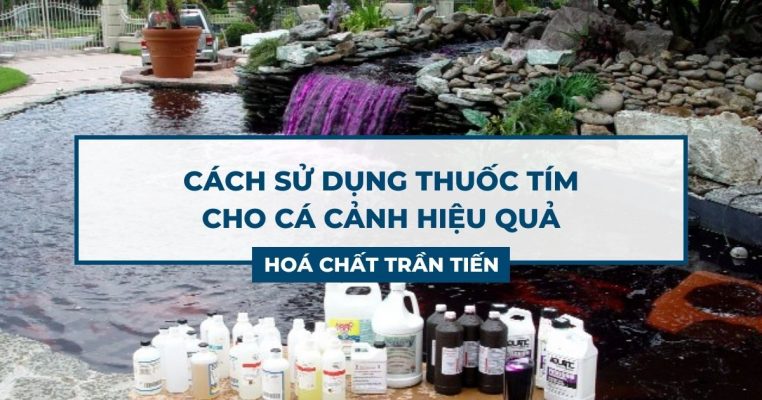 Thuốc Tím Cho Cá