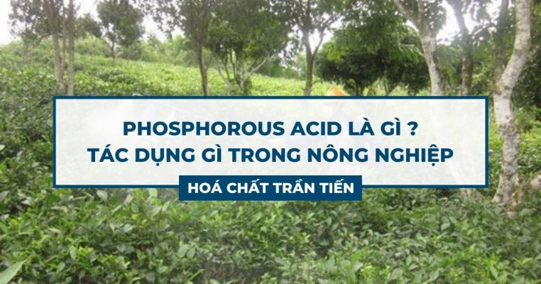 Phosphorous Acid Là Gì