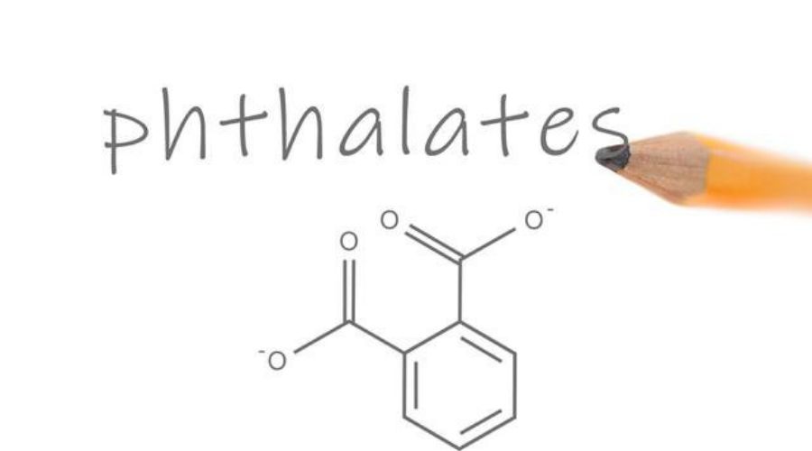 Phthalate Là Gì Giới Thiệu
