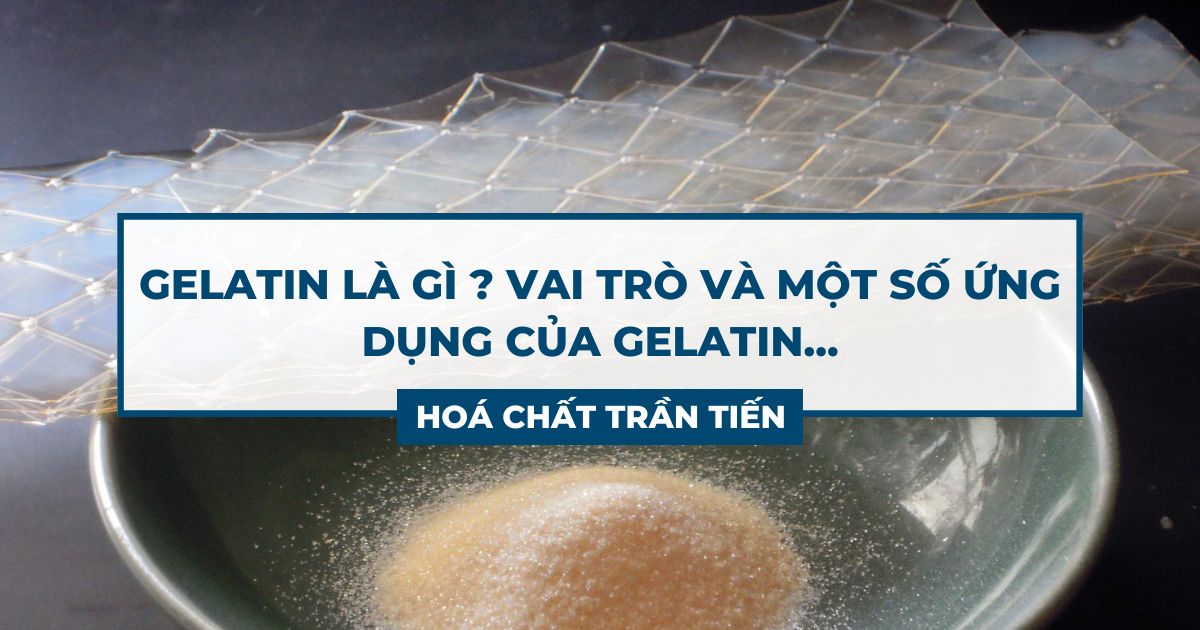 Gelatin Là Gì ? Ứng Dụng Của Gelatin Ra Sao ? Hoá Chất Trần Tiến